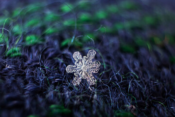Snowflakes close-up. Macro photo. The concept of winter, cold, beauty of nature. Copy space.