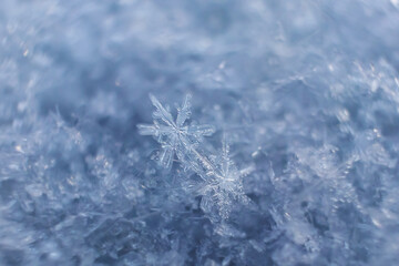 Snowflakes close-up. Macro photo. The concept of winter, cold, beauty of nature. Copy space..