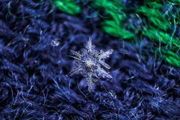 Snowflakes close-up. Macro photo. The concept of winter, cold, beauty of nature. Copy space...