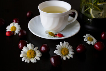 Fototapeta na wymiar A white Cup with herbal tea, on a saucer lies a chamomile with a ladybug, next to a teapot in which currant leaf, mint, chamomile and lemon are brewed. On a black background 