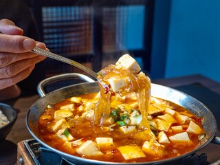 Spicy Mapo tofu / Chinese food / とっても辛い麻婆豆腐  / マーボー豆腐 / 中華料理