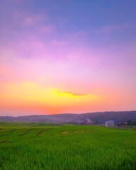 Obraz premium sunset over green field