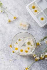 Fototapeta na wymiar Ice cubes with chamomile flowers inside. Springtime symbolism
