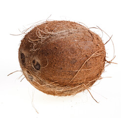 Coconut isolated on a white background.