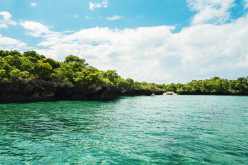 Isle with greenery in ocean in Zanzibar at sunny day