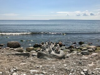 sea and rocks
