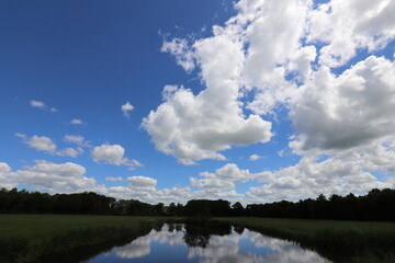 Real amazing beautiful blue sky above rural meadow landscape.