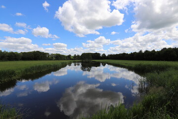 Fototapeta premium Fantastic view over a small lake with reeds against a blue sky and white cloud background.