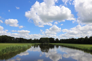 Fototapeta na wymiar Beautiful view over Dutch water landscape during the summer with a beautiful blue sky and white clouds.