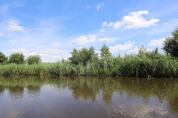 Beautiful view over Dutch water landscape during the summer with a beautiful blue sky and white clouds.