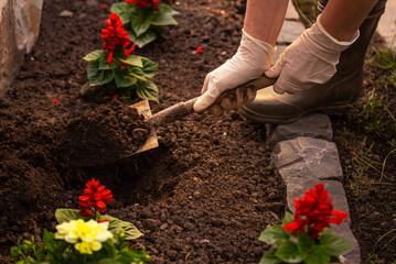 woman planting flowers