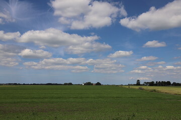 Fototapeta na wymiar Real amazing beautiful blue sky above rural meadow landscape.