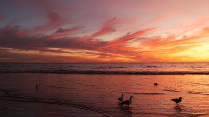 California summertime beach aesthetic, golden sunset. Vivid dramatic clouds over pacific ocean waves. Santa Monica popular resort, Los Angeles CA USA. Atmospheric moody purple evening sundown in LA