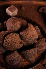 healthy delicious chocolate truffles around ingridients with natural cocoa beans,  powder, cacao butter, cane sugar. healthy sweets concept. macro shot