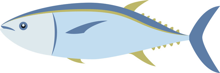 Tuna fish isolated vector