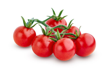 Cherry tomato branch isolated on white background