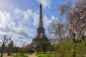 Early spring in the park at Champ de Mars in Paris. In the background - famous Eiffel Tower. Paris, France.