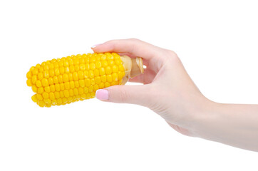 Boiled corn food in hand on white background isolation
