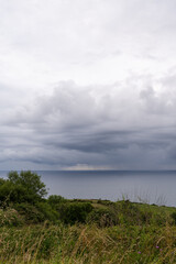 Landscape with meadows and sea in the background, a cloudy summer afternoon, vertical