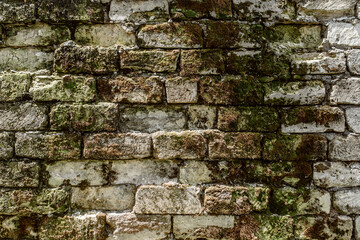 Texture background of old wall destroyed by time from white stone bricks