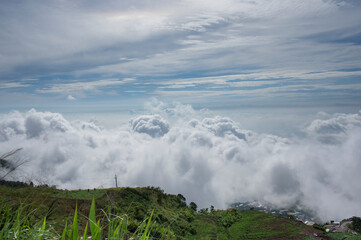 View of cauliflower field on the mountain with clouds sky background