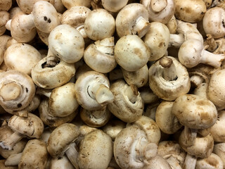 mushrooms on the market