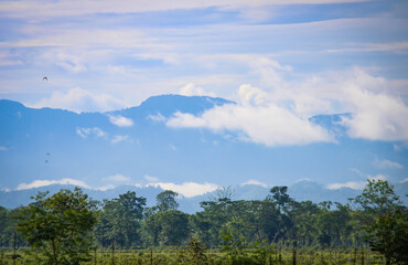 Fototapeta premium landscape with clouds and sky and trees