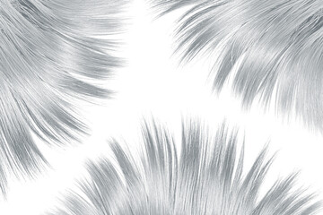 Gray hair on white, isolated. Background with copy space