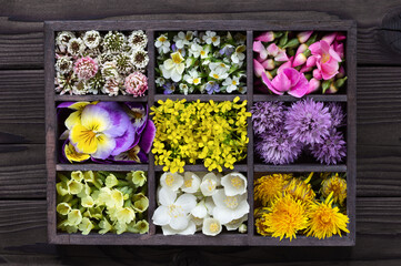 Set of edible flowers in a dark wooden box. Fresh plants collection for culinary and herbal medicine. Top view.