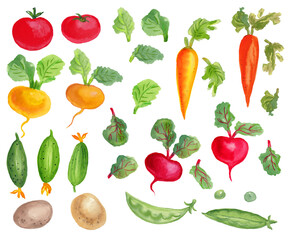 Watercolor handmade set with 
summer vegetables, and leaves.White 
background.