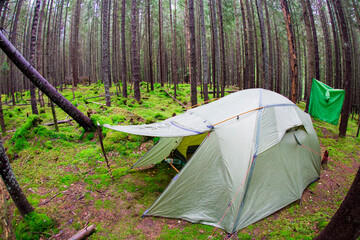 Tourist tent in the middle of the coniferous forest among the moss in the mountains