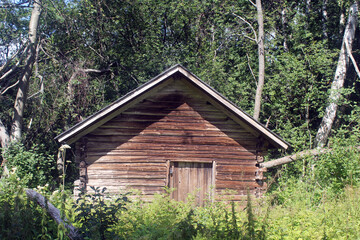 Fototapeta na wymiar Old wooden house in forest