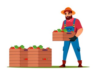 Farmer harvesting fresh vegetable crop in wood box