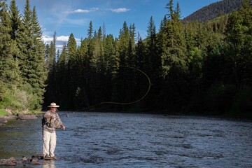 Fototapeta na wymiar A man fly fishing in the mountains on a wild trout stream.