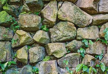 Background texture of  stone surface with green grass.