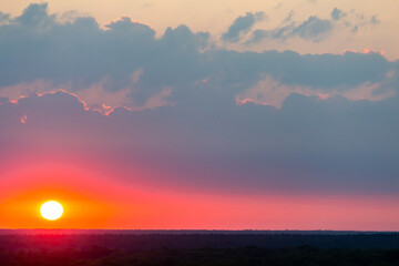 scarlet dawn over the forest, the sun rises from behind the horizon