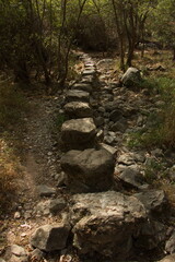 Obraz premium Hiking on stones in park Barranco del Rio Dulce, Guadalajara, Spain 