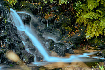 natural silk effect waterfall with vegetation