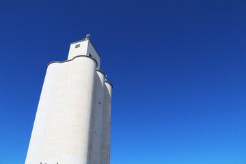 tall community co-op cooperative agricultural farm feed grain and corn silo building in a small town in rural heartland america perfect for farming and agriculture stock imagery © DrewDuzz