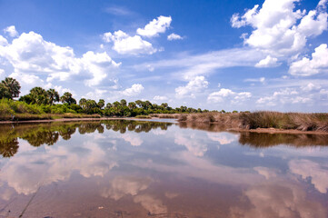 Beautiful sea shore seascape St mark state park,Florida.