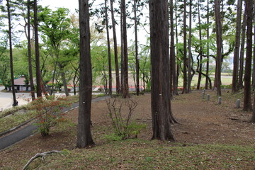 公園