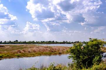 Beautiful sea shore seascape St mark state park,Florida.