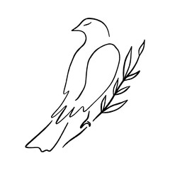 Line art dove. Sitting pigeon logo drawing. Black and white vector illustration. Good for greeting card, banner, flyer and poster.