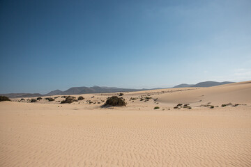 Fototapeta na wymiar The Sand Dunes of Corralejo. Desert area near dune beach in Fuerteventura. 