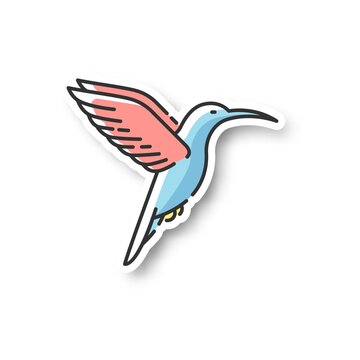 hummingbird flying with pink wings clip art preview