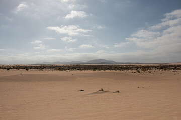 The Sand Dunes of Corralejo. Desert area near dune beach in Fuerteventura. 