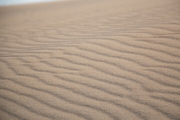 The Sand Dunes of Corralejo. Desert area near dune beach in Fuerteventura. 