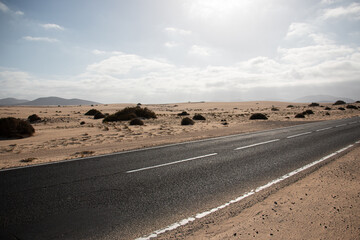 
lonely road through the desert