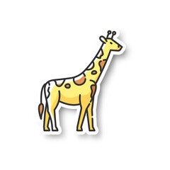 Giraffe patch. Exotic animal with long neck, african herbivore wildlife. African savanna, tropical zoo RGB color printable sticker. Tall camelopard vector isolated illustration