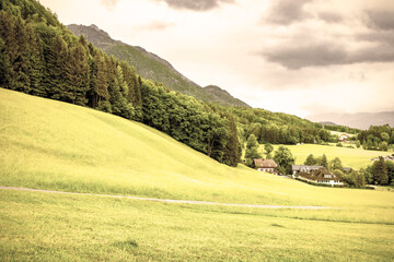 Austrian pasture and village